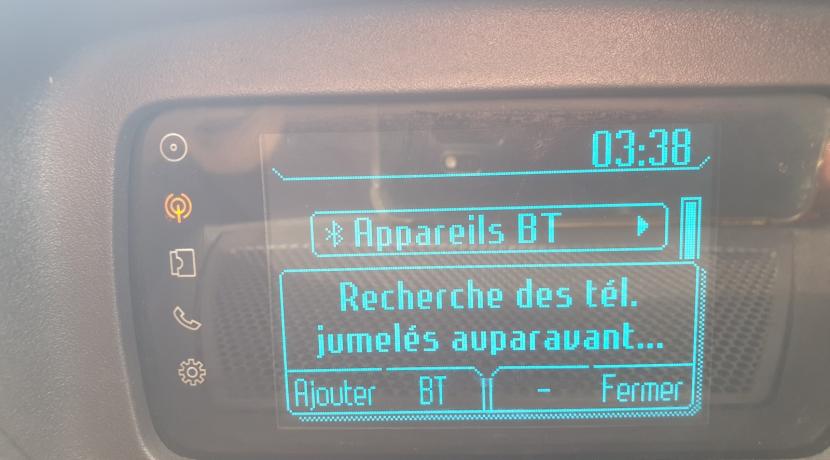 Ford Transit Custom 2.2 TDCI 155 310 L2H1 CABINE APPROFONDIE AMBIENTE