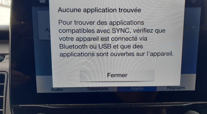 Ford Transit Custom 2 II (2) 300 L2H1 2.0 ECOBLUE 130 TREND BUSINESS